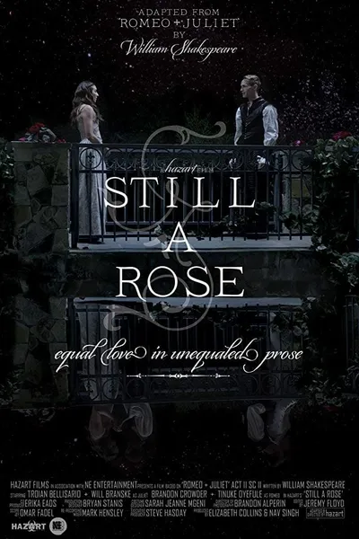 Still a Rose