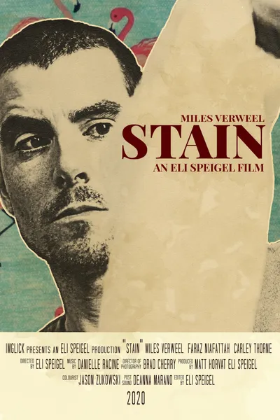 Stain