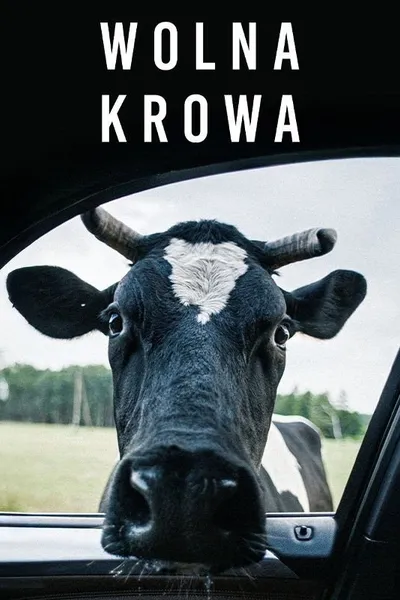 Free Cow