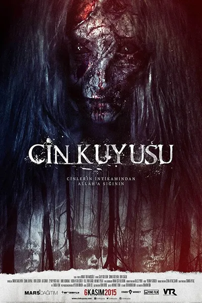 Cin Kuyusu