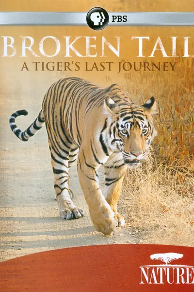 Broken Tail: A Tiger's Last Journey