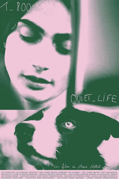 1-800-Quiet-Life