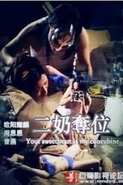 二奶奪位