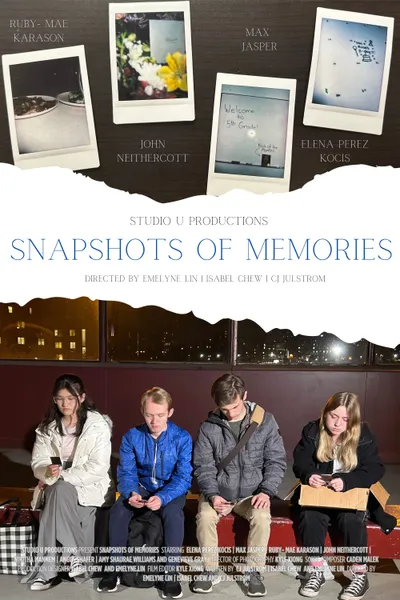 Snapshots of Memories