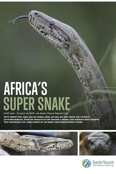 Africa's Super Snake