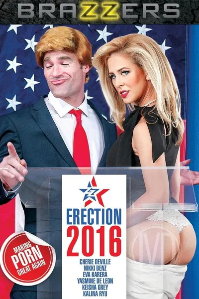 ZZ Erection 2016