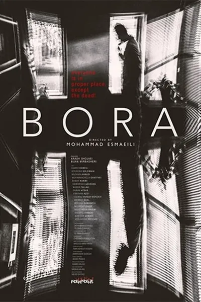 The Bora