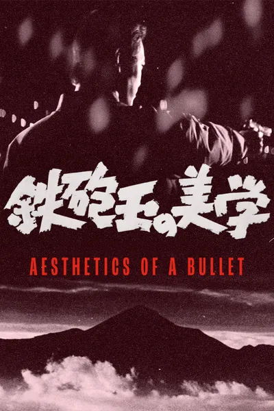 Aesthetics of a Bullet