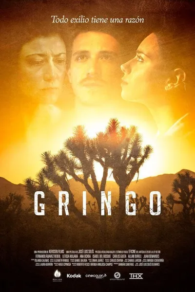 Gringo