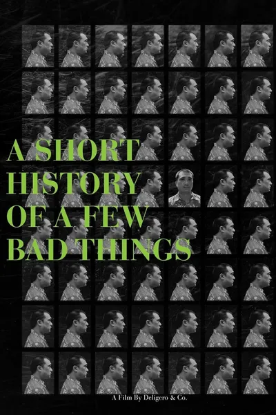 A Short History of a Few Bad Things