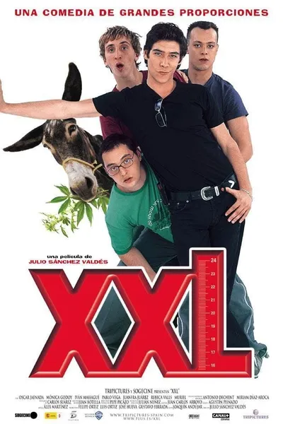 XXL