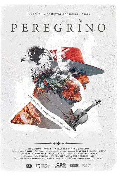 Peregrino