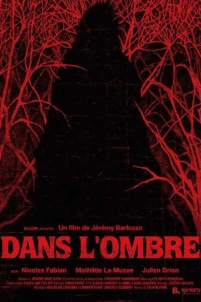 Dans l’ombre