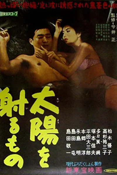 Taiyō o iru mono