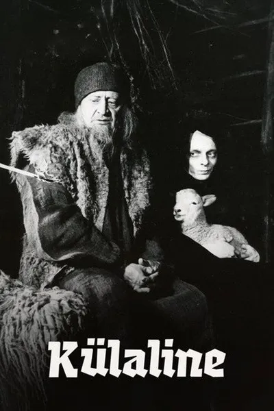 The Visitor