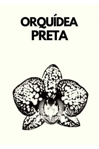 ORQUÍDEA PRETA