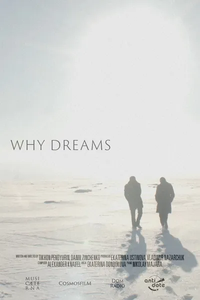 Why Dreams