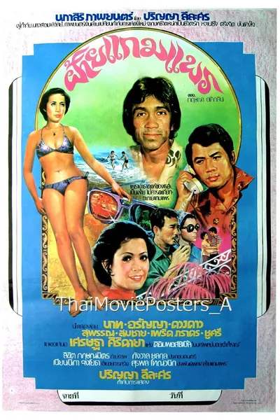 ฝ้ายแกมแพร