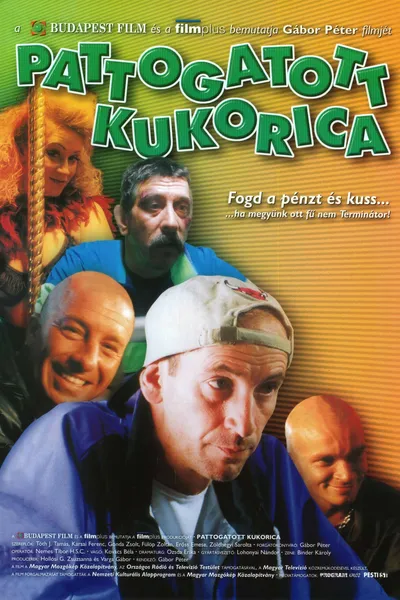 Pattogatott Kukorica