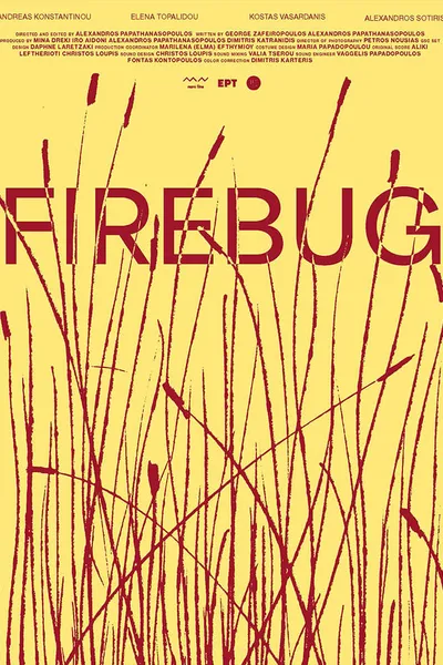 Firebug