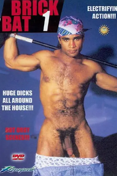 Brick Bat 1