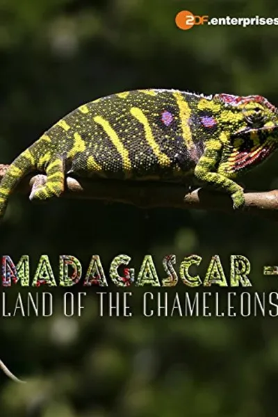 Madagascar: Land of the Chameleons