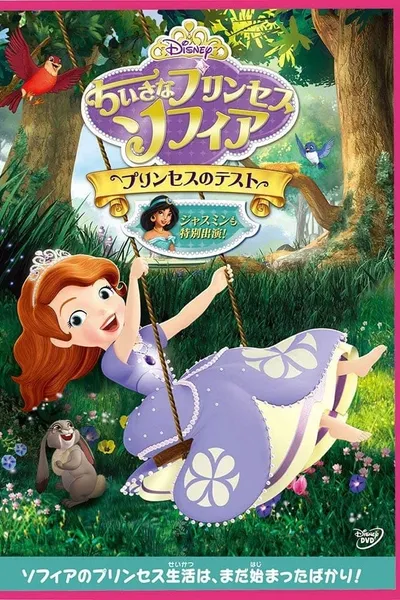 Sofia The First: Ready To Be A Princess