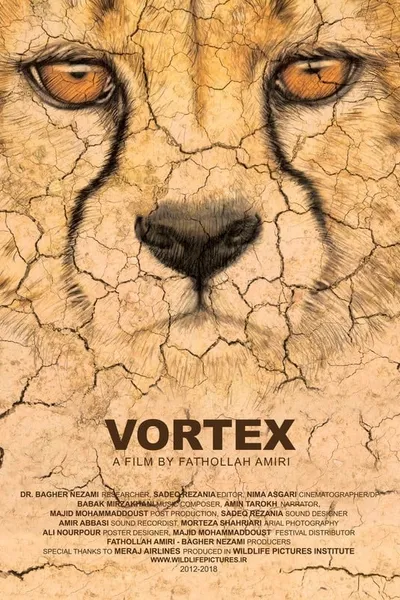 Vortex