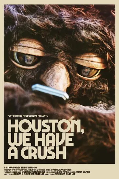 Houston, We Have a Crush