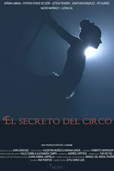 El secreto del circo