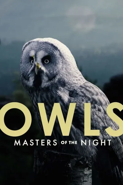 Owls: Masters of the Night