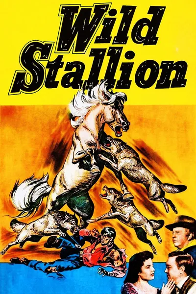 Wild Stallion
