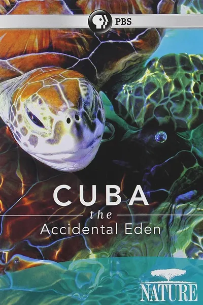 Cuba: The Accidental Eden