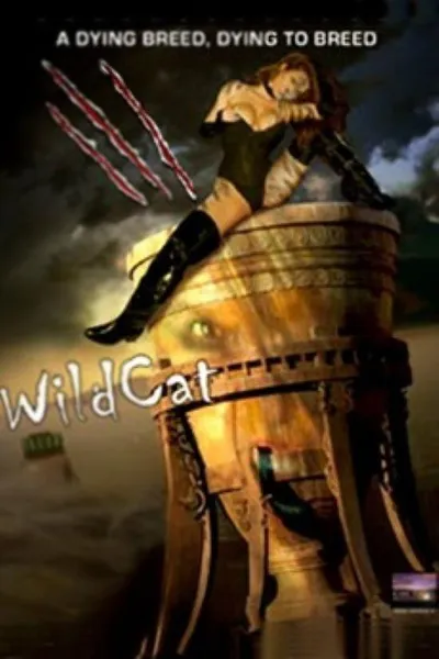 WildCat