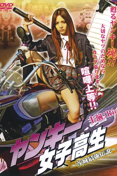 Yankee High School Girl 1~ Ibaraki's Strongest Legend