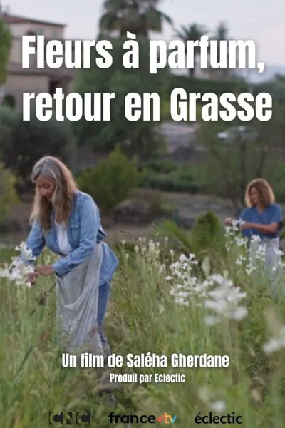 Fleurs à parfum, retour en Grasse