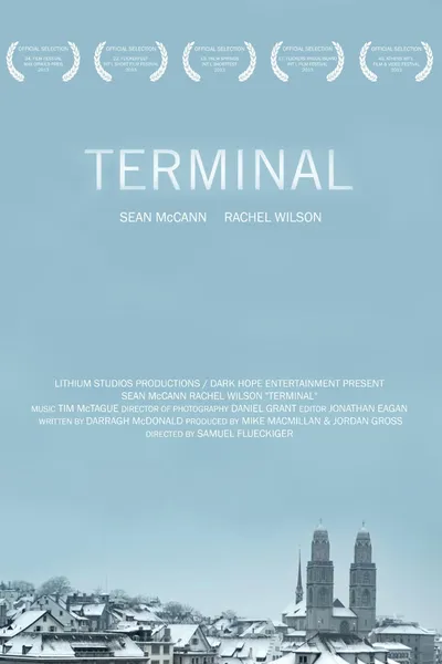 Terminal