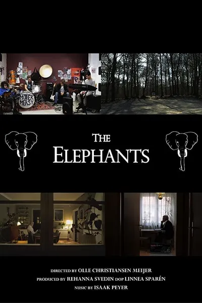 The Elephants