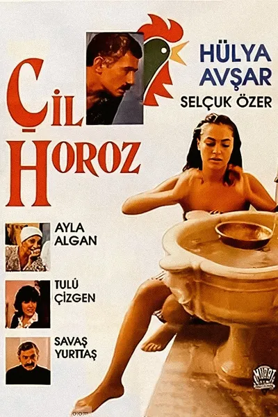 Çil Horoz