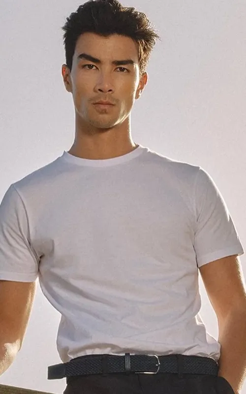 Nasr Ho-Yee