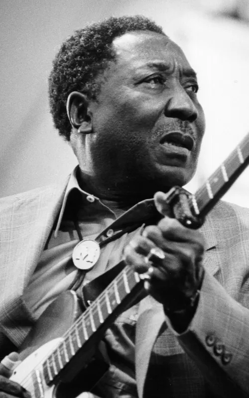 Muddy Waters