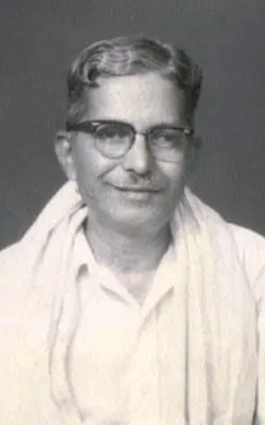 N. S. Narayana Pillai