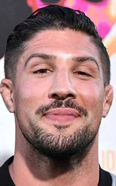 Brendan Schaub