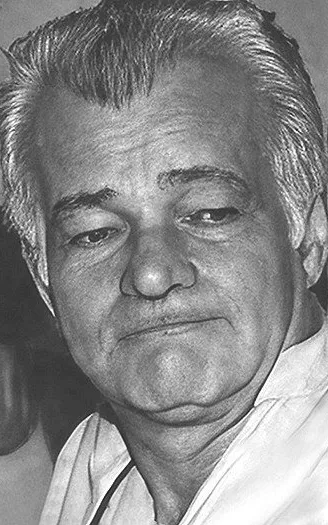 Luiz Mendonça
