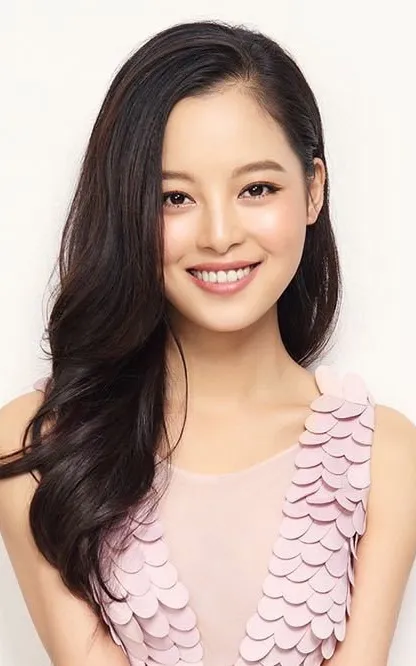 Xin Zhilei