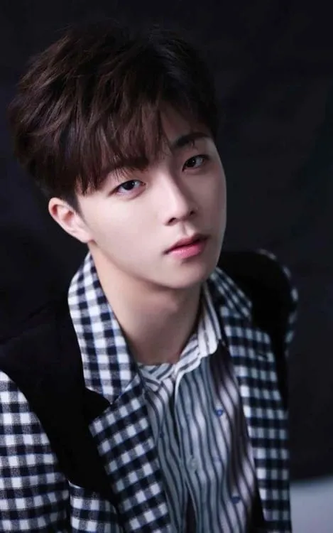 Chen Linong