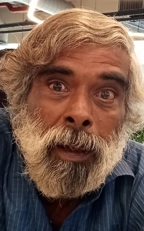 S. Sathyendra