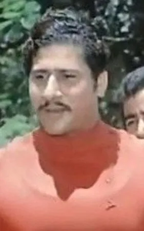 Bahaa Abdulhameed
