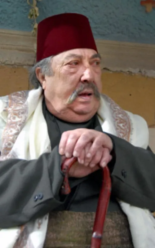 Hani ElRomani