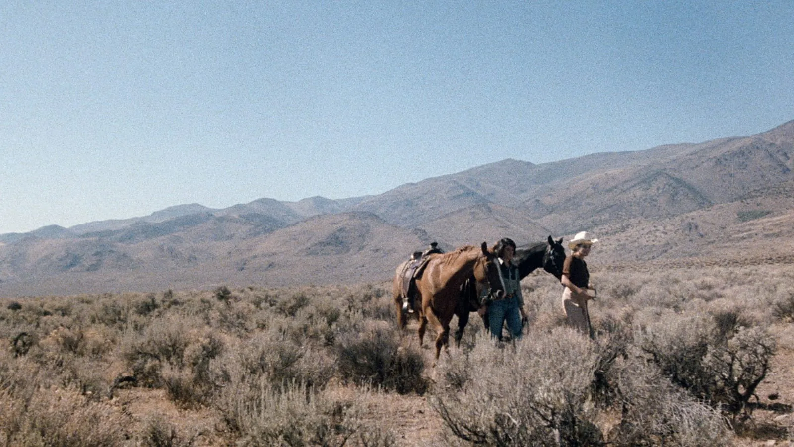 Women in Love: Desert Hearts